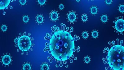 كفر الشيخ تسجل إصابة 14 شخصًا بفيروس كورونا خلال 24 ساعة