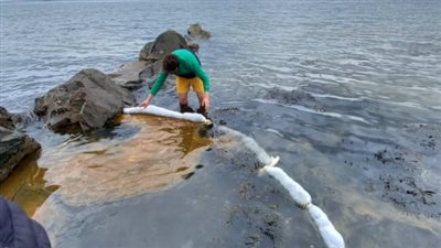 مصففو الشعر في بريطانيا وأيرلندا يطلقون مبادرة لحماية البيئة 