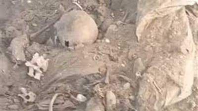 العثور على جماجم  بشرية ورفات موتى أسفل الطريق الحر بقليوب (صور)