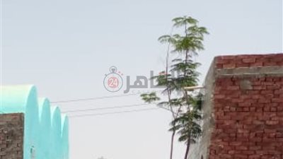 بالدموع والصراخ.. تشييع جثامين 4 أطفال من أسرة واحدة اختنقوا داخل سيارة بالشرقية (صور)