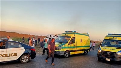 إصابة 5 أشخاص في حادث تصادم تروسيكل بعود إنارة بكفر الشيخ (أسماء)