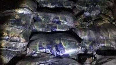 تموين القليوبية: ضبط سولار مدعم وكمية من الأرز مجهول المصدر بالقناطر الخيرية