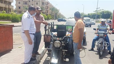 جهاز مدينة دمياط الجديدة يشن حملة على الـ