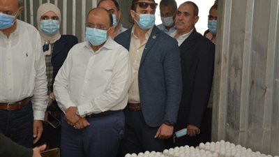 وزير التنمية المحلية يتفقد مشروع إنتاج 30 مليون بيضة بالخانكة (صور) 
