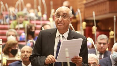 برلماني يجهز ملفًّا متكاملًا عن الأمن السيبراني لـ وضعه أمام مجلس الشيوخ