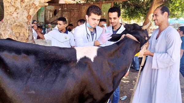 قافلة بيطرية بقرى