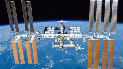 وكالة ناسا ترسل صغار الحبار إلى المحطة الفضائية الدولية