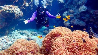 السياحة والبيئة تطلقان حملة 