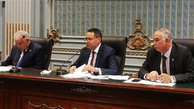 زراعة النواب ينتقد تقاعس جهاز تنمية البحيرات في إنهاء تحرير عقود المنتفعين