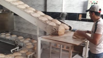 تحرير 1319 محضرًا في حملة تموينية بالإسكندرية