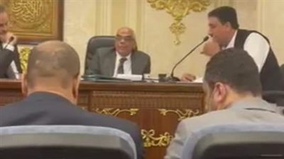 البرلمان يوافق على تحويل قرية 