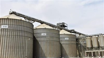 محافظ أسوان: توريد 116 ألف طن قمح.. وزيادة المستهدف توريده إلى 80%