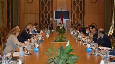 شملت سد النهضة.. انعقاد جلسة المشاورات الثنائية بين مصر وبولندا (صور)