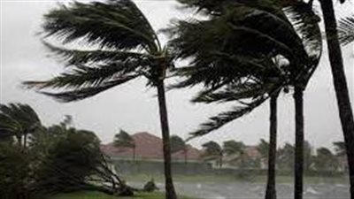 الأرصاد: نشاط مثير للرياح على القاهرة والدلتا.. وتلاشي السحب المدارية