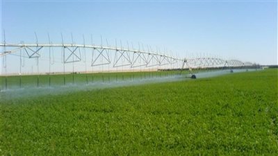 الريف المصري: منطقة غرب المنيا قادرة على أن تصبح عاصمة مصر الزراعية