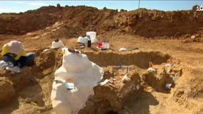  طوله يوازي ملعبًا لكرة السلة.. اكتشاف أكبر فصائل الديناصورات في العالم (فيديو)