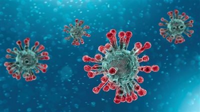 سنغافورة: سلاسة 