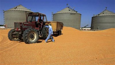 التموين: لدينا سعة تخزينية لـ 3 ملايين طن قمح 