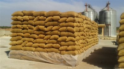 وزير التموين: 15 مليار جنيه قيمة شراء القمح من المزارعين حتى الآن