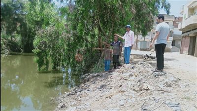الكشف عن حقيقة وجود تمساح في إحدى ترع كفر الشيخ