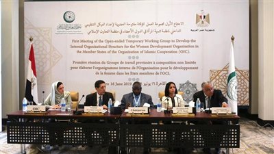 بعد قرار الحكومة.. 10 معلومات لا تعرفها عن منظمة تنمية المرأة 