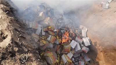 إعدام 13 طن أرز بسمتي مستورد غير صالح للاستهلاك الآدمي بالشرقية (صور)