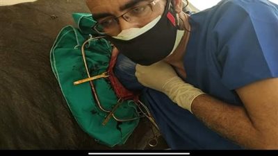 استخراج مسامير و