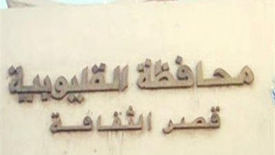 ثقافة القليوبية تناقش 