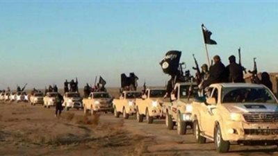 رفض التظلمات على أحكام المؤبد والمشدد بـ 