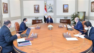 السيسي يوجه بتعزيز جهود تطوير محطة 