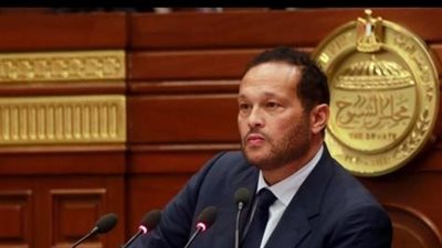 محمد حلاوة عن مدينة 