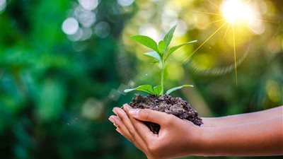 خفض الانبعاثات وتدوير المخلفات.. إسهامات السيسي في الحفاظ على البيئة