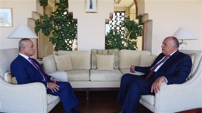 وزير الخارجية: كل خطواتنا القادمة في أزمة سد النهضة ستتم بالتنسيق مع السودان