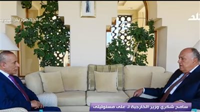 سامح شكري: مصر تسعى لتكون علاقتها بالدول العربية في الاتجاه الإيجابي