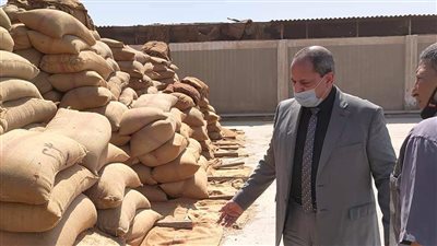 توريد 366 ألف طن قمح لشون وصوامع المنيا
