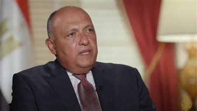 غدا.. وزير الخارجية يلتقي نظيره الماليزي وممثل الاتحاد الأوروبي لعملية السلام