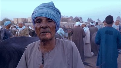 فحص الجاموسة بـ100 جنيه.. العم عبدالفتاح العساس بيطري عرفي بالوراثة (فيديو وصور)