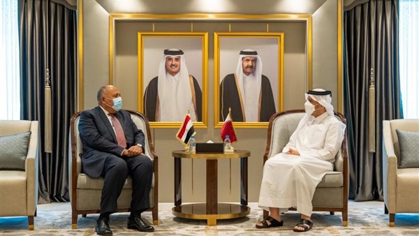 سامح شكري ونظيره