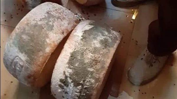 جبنة رومي فاسدة بالبحيرة