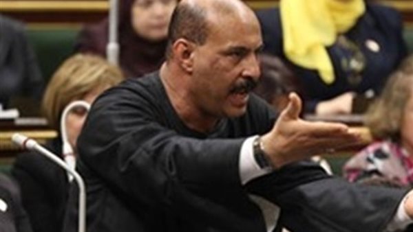 فتحي قنديل عضو مجلس