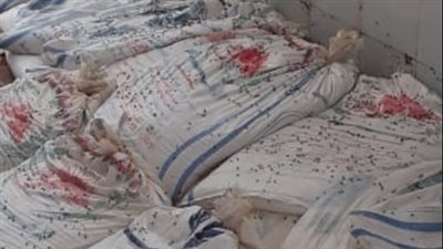 ضبط 100 شيكارة ملح داخل مصنع أجبان تختلط بمياه المجاري في البحيرة (صور)