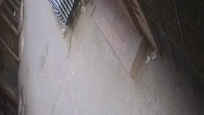 بلطجة وإطلاق نار عشوائي بشارع الخمسين في شبرا الخيمة (فيديو)