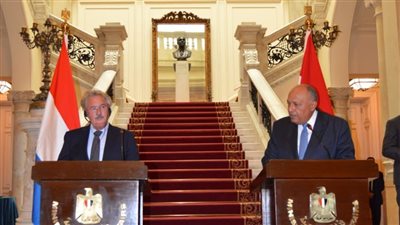 وزير الخارجية: ننتظر من الحكومة الإسرائيلية الجديدة اتخاذ قرارات شجاعة للوصول إلى السلام المنشود