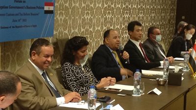 وزير المالية: 15% زيادة متوقعة في الإيرادات الضريبية بعد التوسع في المنظومات الإلكترونية