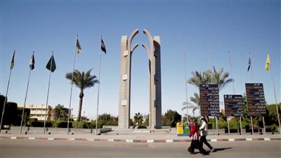 جامعة حلوان: بدء التقديم لبرنامج دبلوم الدراسات التربوية باللغة الإنجليزية لمعلمي التربية الفنية لعام 2022 