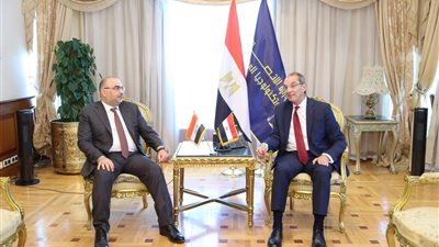 إنشاء شركة مصرية عراقية لتنفيذ مشروعات التحول الرقمي وميكنة الخدمات بالعراق