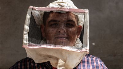من خليتين إلى 60 خلية نحل.. عبد الله يحول حلمه إلى حقيقة في عامين (صور)