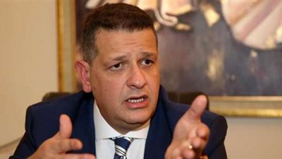 حقوق إنسان النواب تدين الادعاءات المغلوطة بشأن أوضاع السجناء في مصر