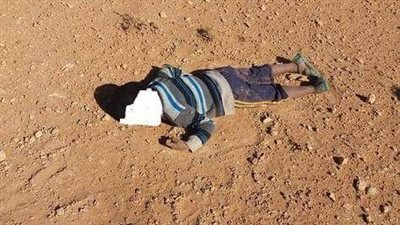 تفاصيل مقتل طفلة على يد شقيقها بالإسماعيلية 