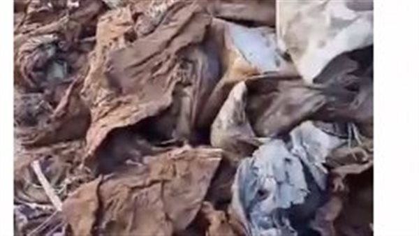 استخراج الأكفان